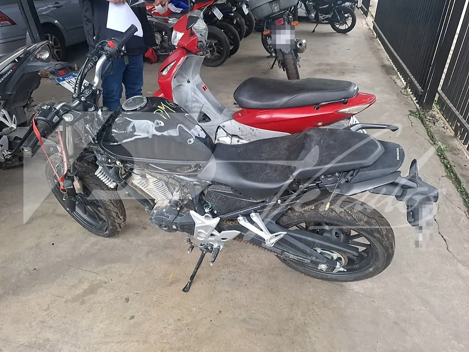 HONDA CB 2026